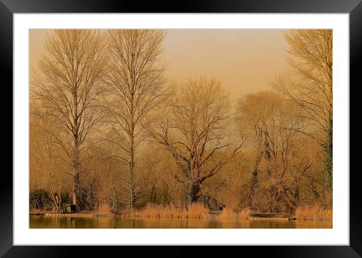 The Waters Edge                                Framed Mounted Print by Sue Bottomley