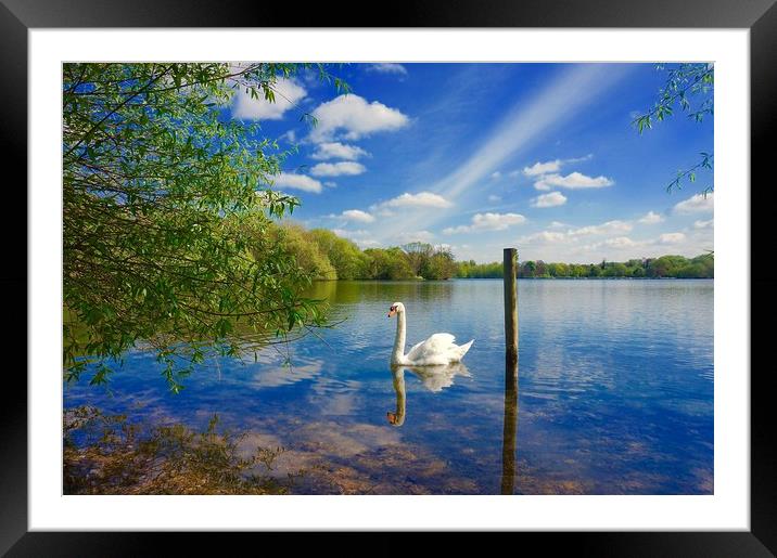 Springtime across the lake                         Framed Mounted Print by Sue Bottomley