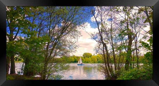 Small sailing boat on the lake between some tree's Framed Print by Sue Bottomley