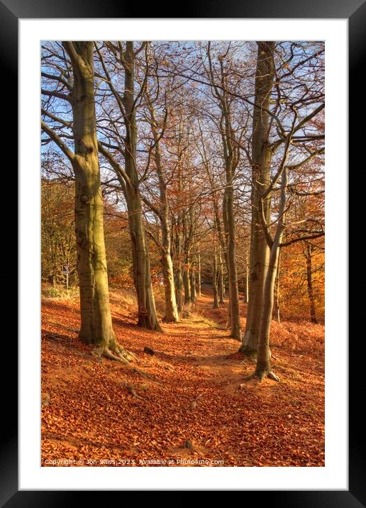 Cannock Chase Woods Framed Mounted Print by Jon Saiss