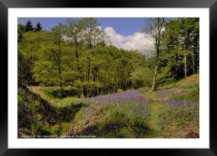 Bluebells on Cannock Chase Framed Mounted Print by Jon Saiss