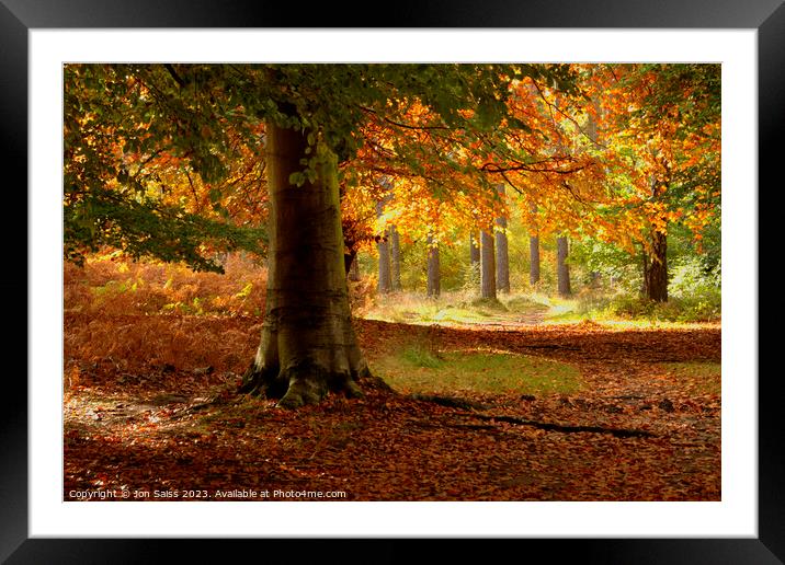 Autumn Colour Framed Mounted Print by Jon Saiss