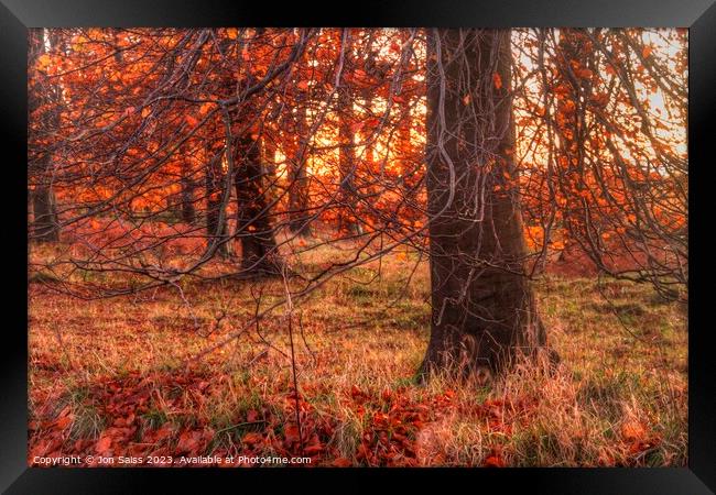 Autumn Sunset Framed Print by Jon Saiss