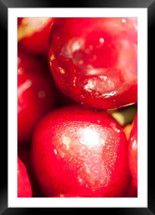 A Cherry or 2 Framed Mounted Print by Ben Shirley