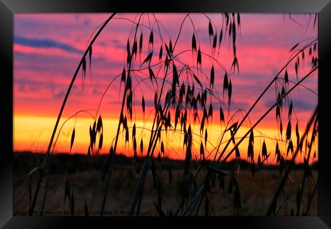 Sunset in the countryside Framed Print by Mandie Jarvis