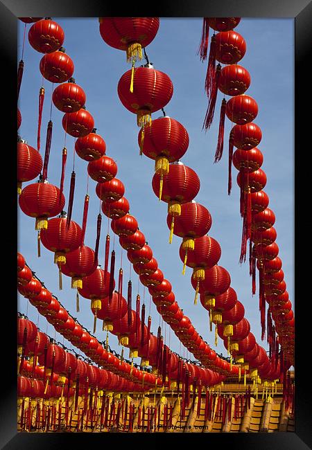 Red Chinese Lanterns Framed Print by Zoe Ferrie