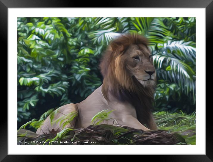 King of the Jungle II Framed Mounted Print by Zoe Ferrie