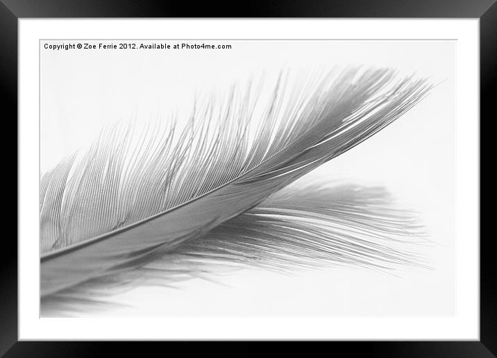 Feather and it's reflection in B&W Framed Mounted Print by Zoe Ferrie