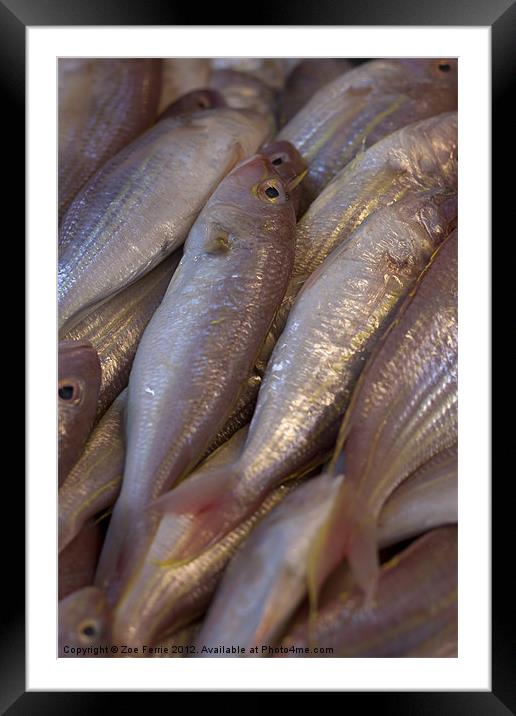 Fresh fish at the Market Framed Mounted Print by Zoe Ferrie