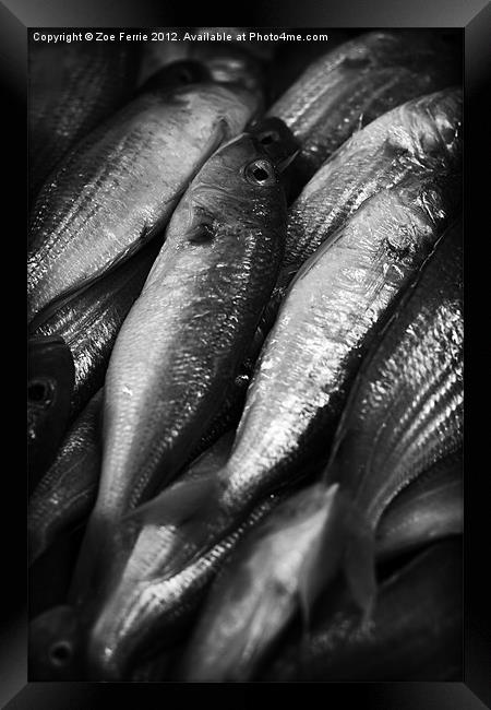 Fresh fish at the Market Framed Print by Zoe Ferrie