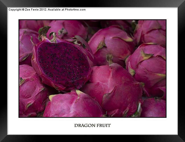 Dragonfruit at the Market Framed Print by Zoe Ferrie