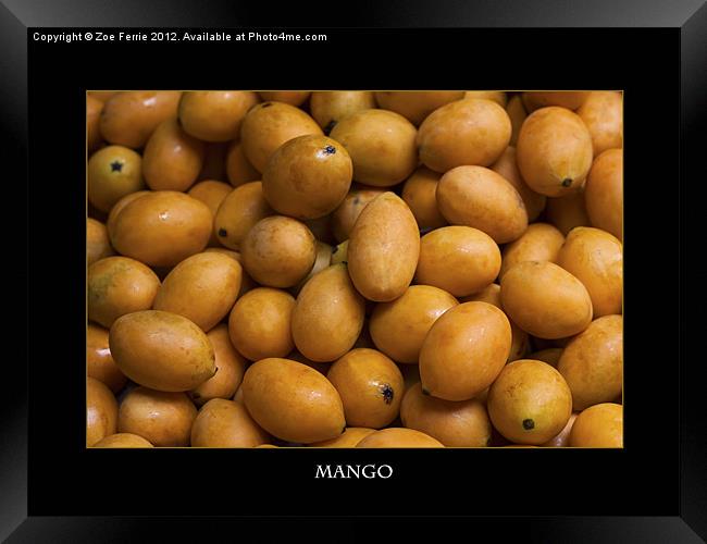 Market Mangoes against black background Framed Print by Zoe Ferrie