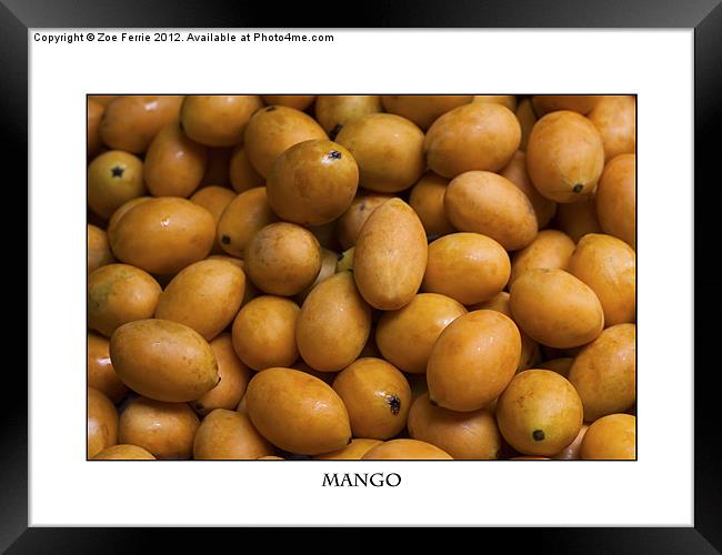 Market Mangoes against white background Framed Print by Zoe Ferrie