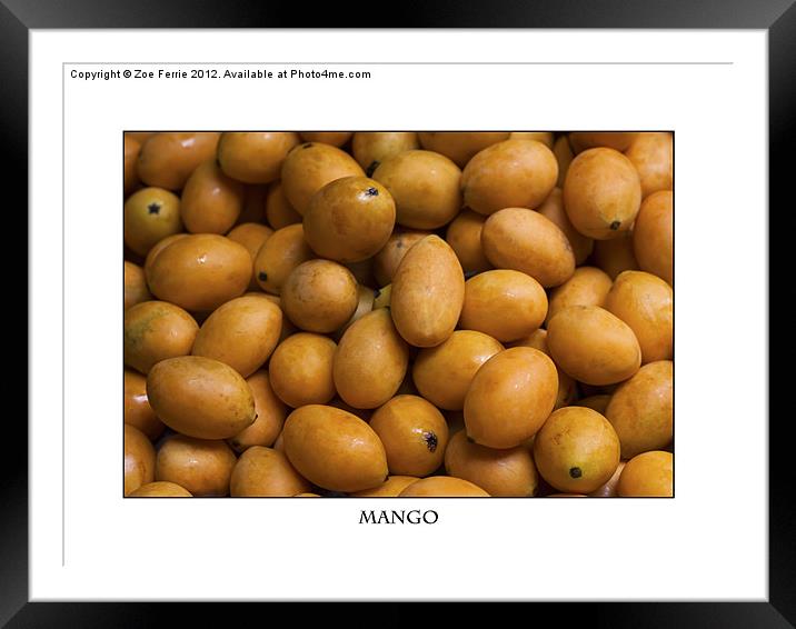 Market Mangoes against white background Framed Mounted Print by Zoe Ferrie