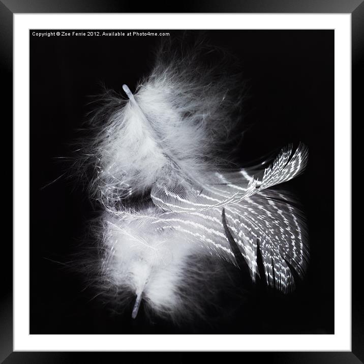 A Feather and its Reflection Framed Mounted Print by Zoe Ferrie