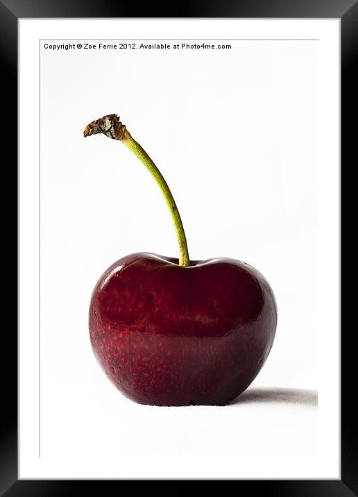 Macro photograph of a single red cherry Framed Mounted Print by Zoe Ferrie