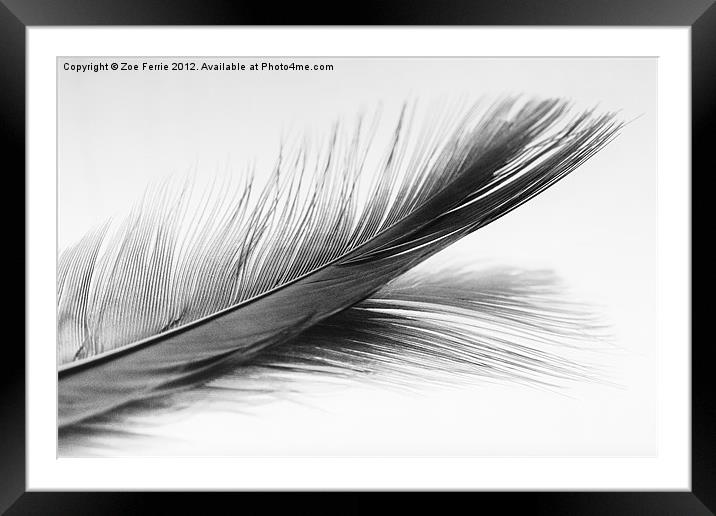 Feather and it's reflection in B&W Framed Mounted Print by Zoe Ferrie