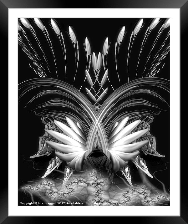 Phoenix from the Ashes Framed Mounted Print by Brian  Raggatt