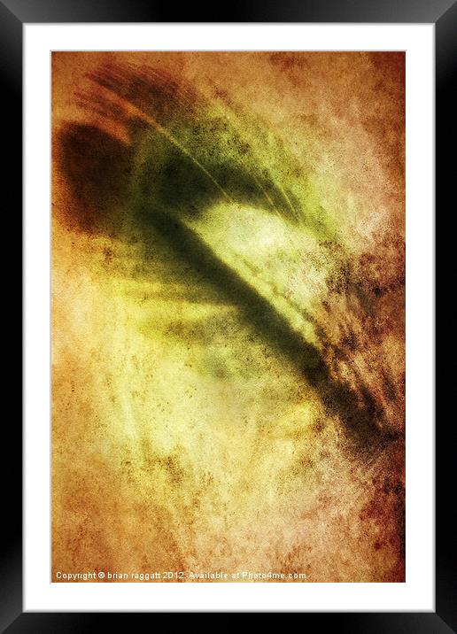 Feather abstract Framed Mounted Print by Brian  Raggatt