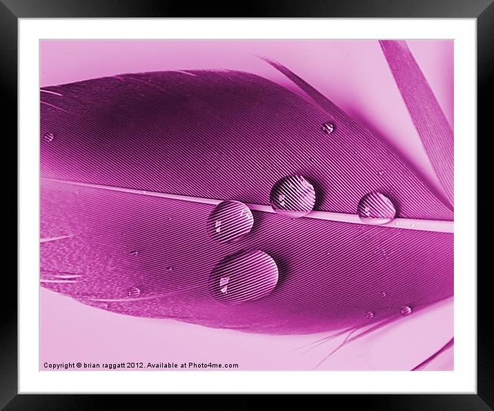 Droplets Framed Mounted Print by Brian  Raggatt