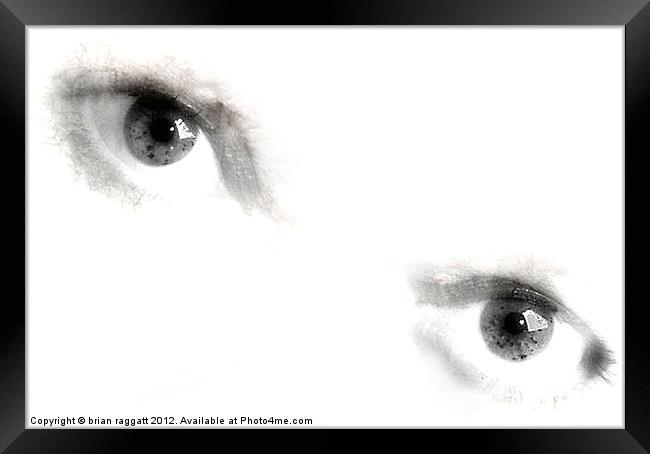 Eyes - That Stare Framed Print by Brian  Raggatt
