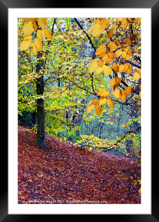 Walk This Way Framed Mounted Print by Brian  Raggatt