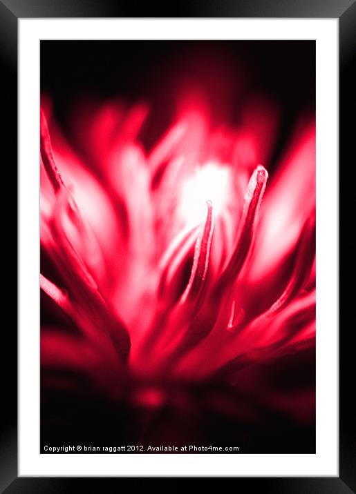 Makes you feel so (Cherry Red) Framed Mounted Print by Brian  Raggatt