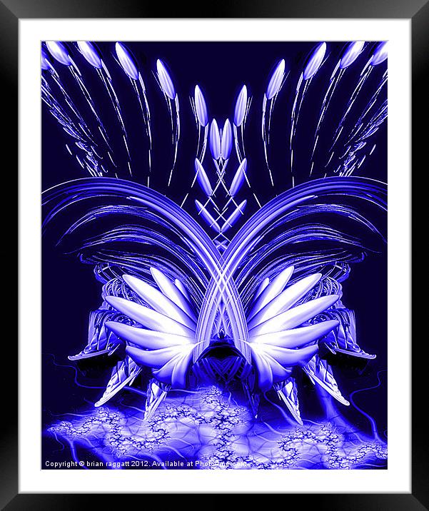 Phoenix Blue Framed Mounted Print by Brian  Raggatt