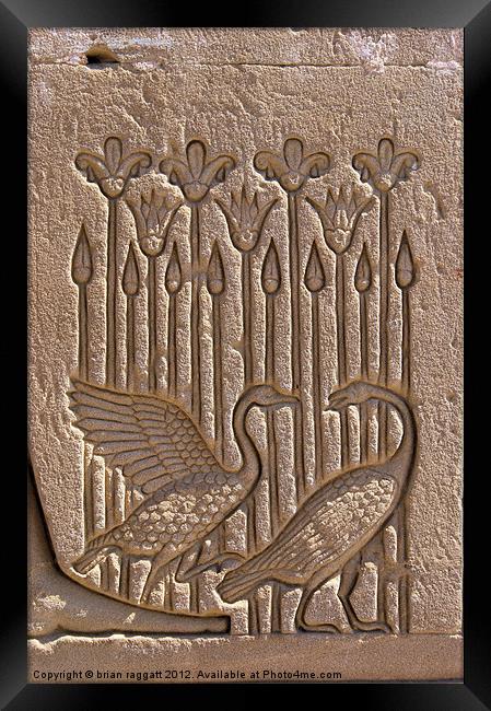 Dendera Carving 8 Framed Print by Brian  Raggatt