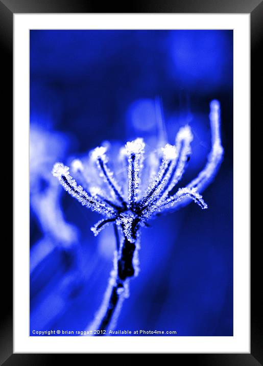 Cold as Ice Framed Mounted Print by Brian  Raggatt