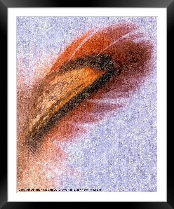 Abstract Feather in Oils Framed Mounted Print by Brian  Raggatt