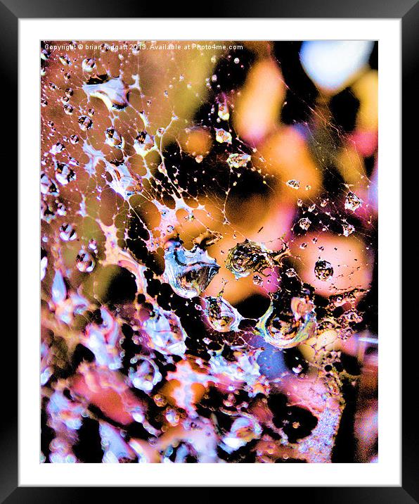 Wet Web Abstract Framed Mounted Print by Brian  Raggatt