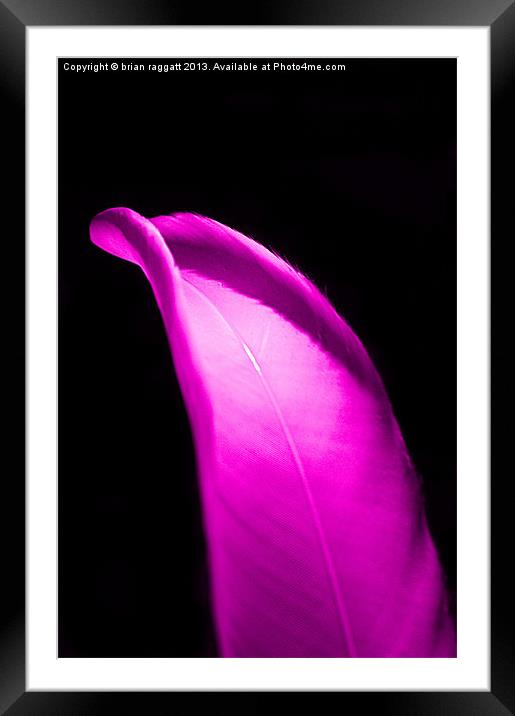 Beauty In The Dark Framed Mounted Print by Brian  Raggatt