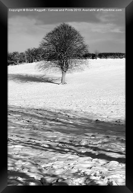 Tree on snow hill Framed Print by Brian  Raggatt
