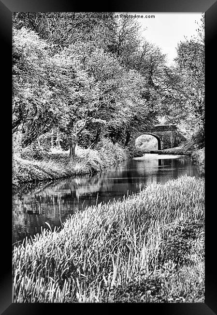 Spring Time Canal BW Framed Print by Brian  Raggatt