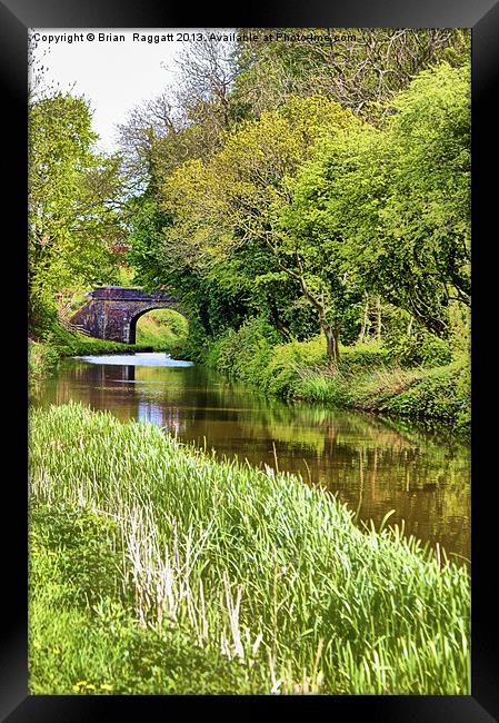 Spring Time Canal Framed Print by Brian  Raggatt