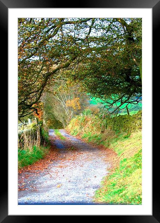 Country Road Framed Mounted Print by Brian  Raggatt