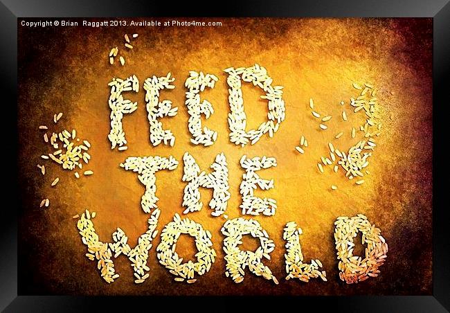 Feed The World Framed Print by Brian  Raggatt
