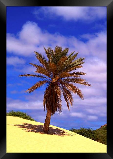 Tropical Island Palm Tree Framed Print by Brian  Raggatt