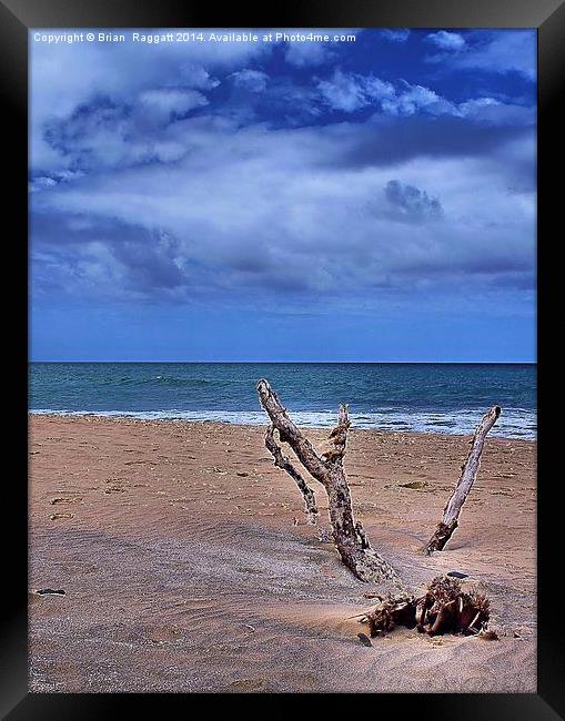 Desert Island Driftwood Framed Print by Brian  Raggatt