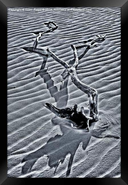 Long Shadows on the Beach Framed Print by Brian  Raggatt