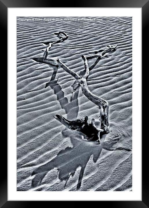 Long Shadows on the Beach Framed Mounted Print by Brian  Raggatt