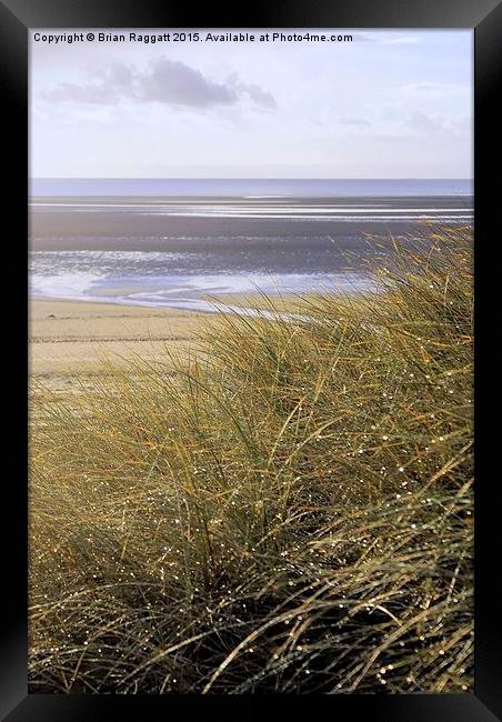  Swansea Bay Grass Dunes Framed Print by Brian  Raggatt