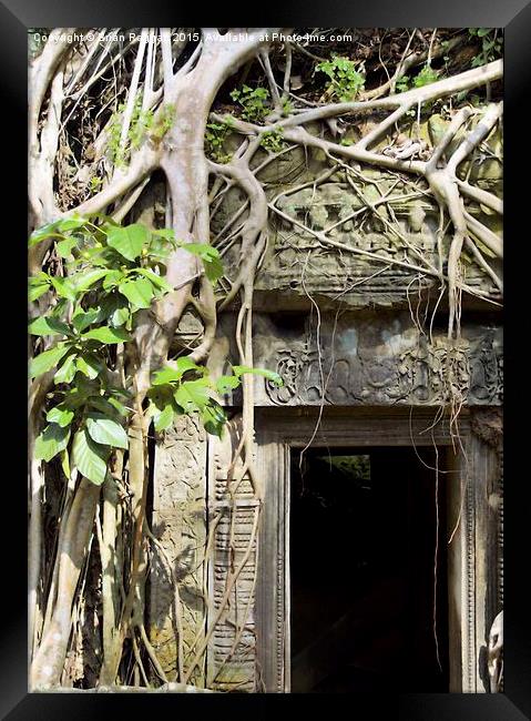  Angkor Wat Tomb Raider entrance Framed Print by Brian  Raggatt