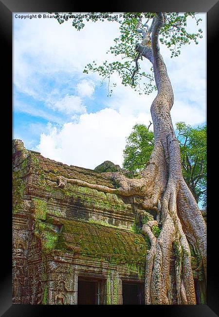  Angkor Temple Tree Roots Framed Print by Brian  Raggatt