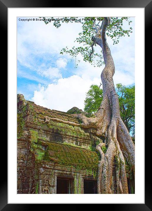  Angkor Temple Tree Roots Framed Mounted Print by Brian  Raggatt