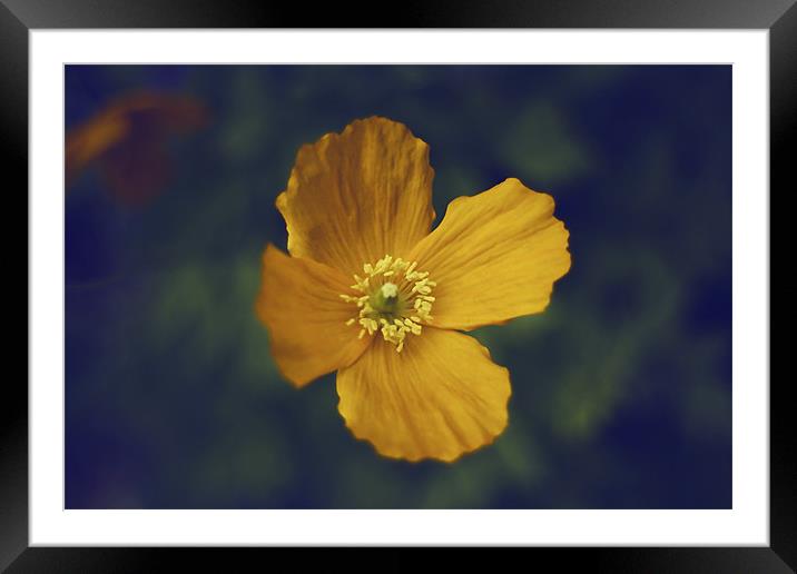 I dream in Yellow Framed Mounted Print by Emma Howell-Williams