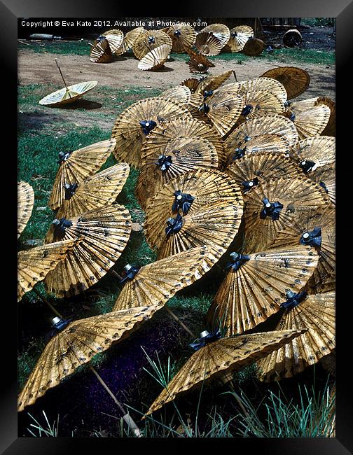 Umbrellas Framed Print by Eva Kato