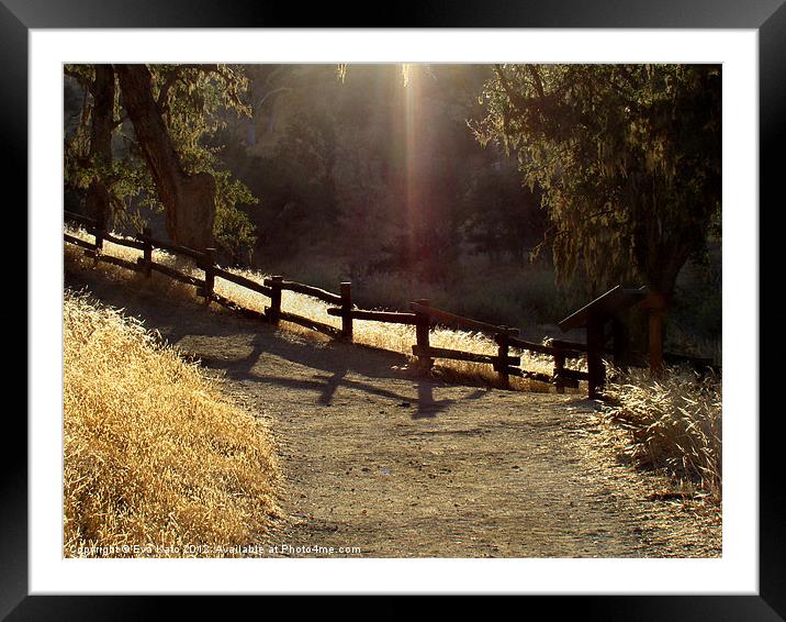 The lighted path Framed Mounted Print by Eva Kato