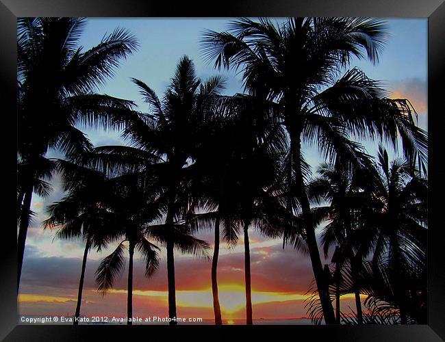 Waikiki Sunset Through Palms Framed Print by Eva Kato